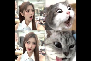 可爱😊女主持泱泱晒模仿猫咪表情包四连拍~